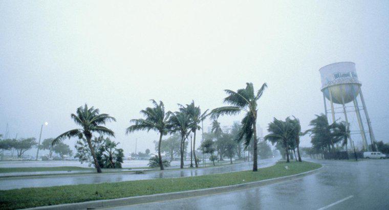 Was sind die Hauptbestandteile eines Hurrikans?