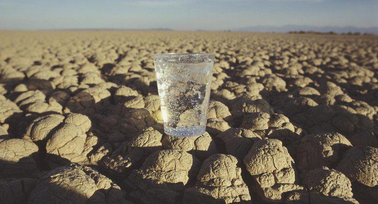 Wie viele Tage kann ein Mensch ohne Wasser überleben?