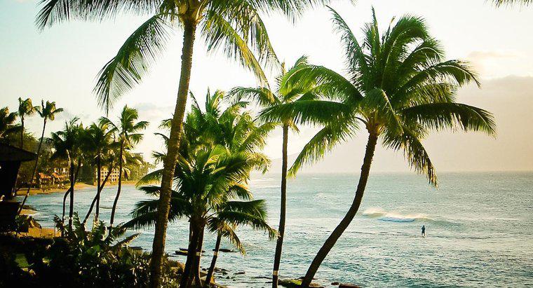Was sind einige lustige Fakten über Hawaii?