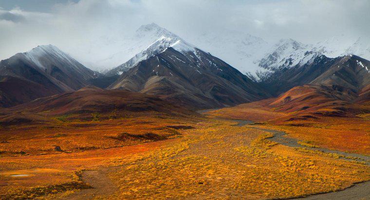 Was ist der menschliche Einfluss auf die Tundra?