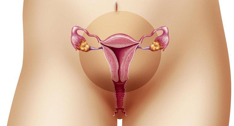 Was ist der normale Bereich für die Endometriumdicke?
