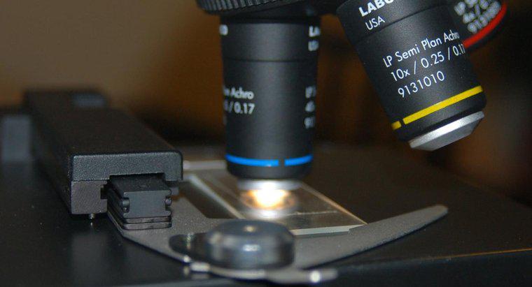 Was ist ein Diaphragma auf einem Mikroskop?