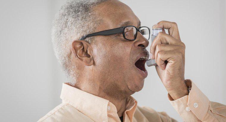 Welche Organe sind von Asthma betroffen?