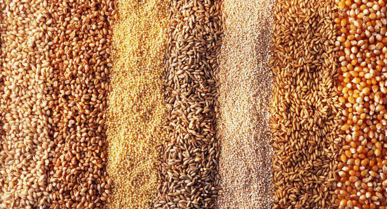 Was ist der Unterschied zwischen Gerste und Weizen?