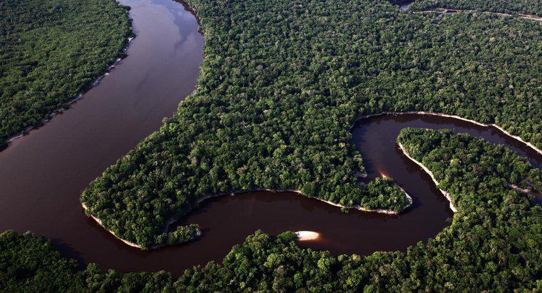 Wie breit ist der Amazonas?