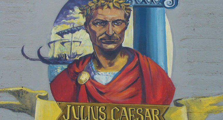 Warum will Calpurnia in "Julius Caesar", dass Caesar zu Hause bleibt?