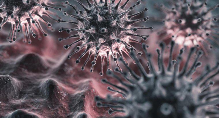 Was ist die Inkubationszeit für das Grippevirus?