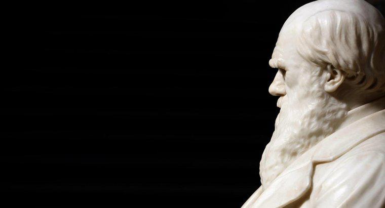 Warum hat Charles Darwin Kontroversen ausgelöst?