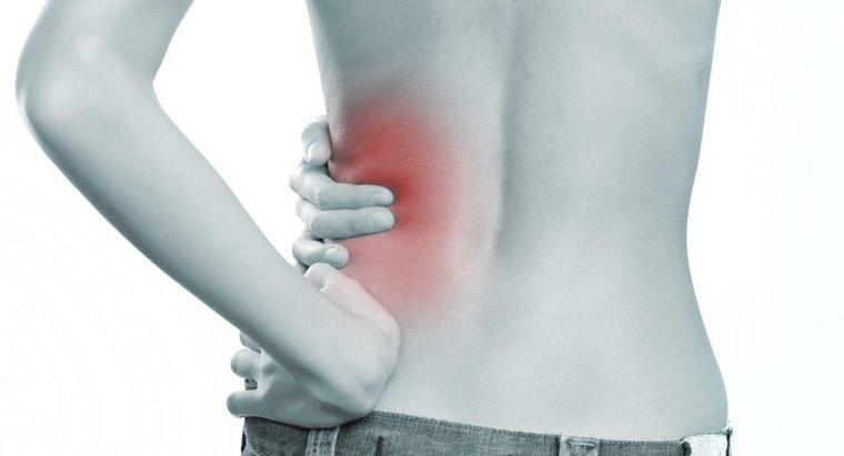 Wie hängen Rückenschmerzen mit Nierenerkrankungen zusammen?