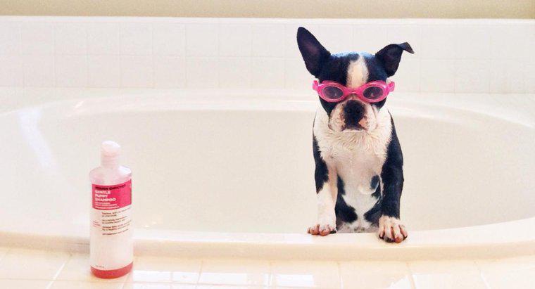 Kann Babyshampoo bei einem Hund verwendet werden?