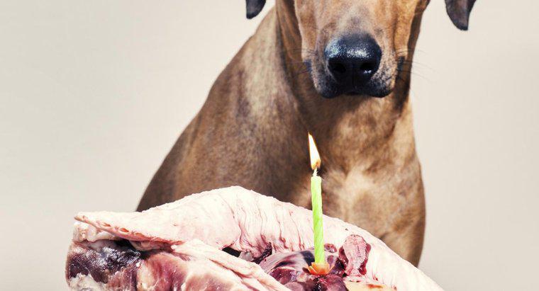 Dürfen Hunde Rippenknochen essen?