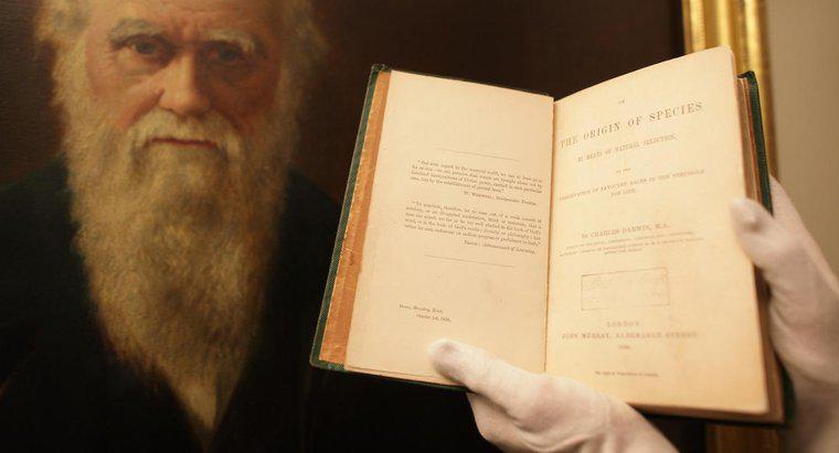 Was sind einige Charles-Darwin-Erfindungen?