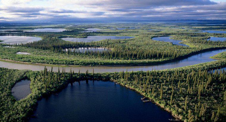 Was ist der längste Fluss in Kanada?