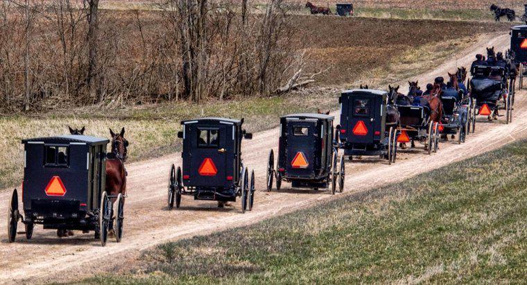 Haben die Amish Sozialversicherungsnummern?