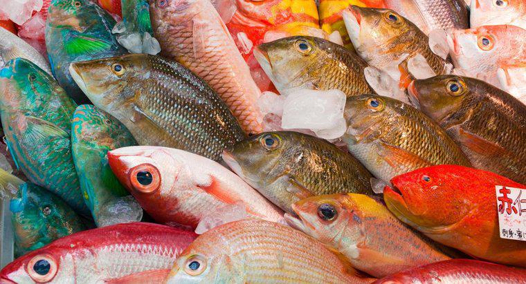 Was ist der am häufigsten gegessene Fisch der Welt?