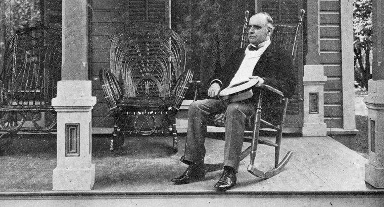 Wofür ist William McKinley berühmt?