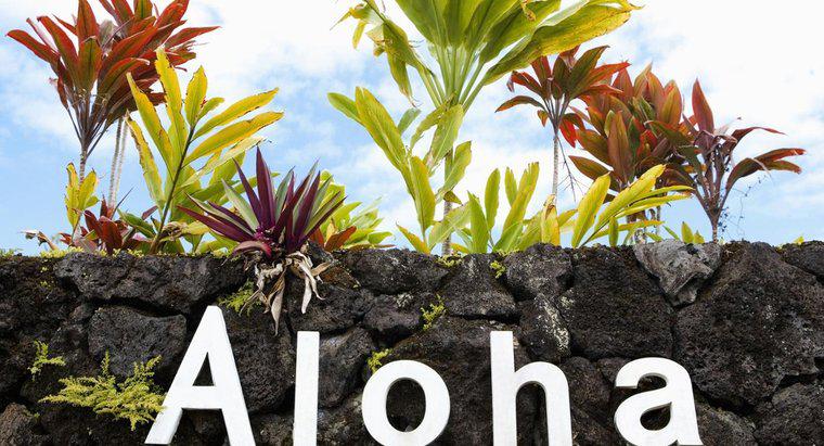 Wie viele Buchstaben hat das hawaiianische Alphabet?