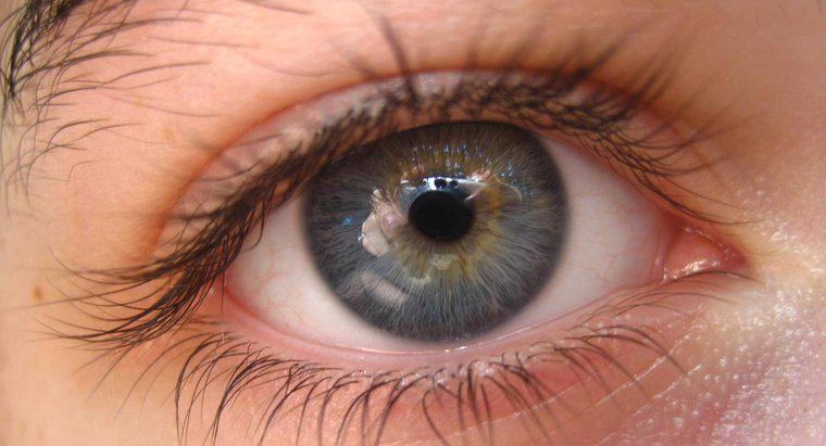 Wie selten sind graue Augen?