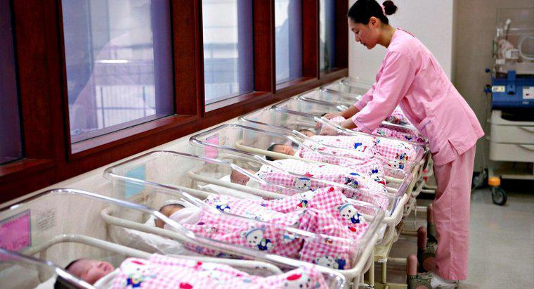 Was ist die höchste Anzahl von Babys, die bei einer einzigen Geburt geboren wurden?