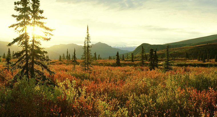Was sind die ökologischen und ökologischen Bedenken des Tundra-Bioms?
