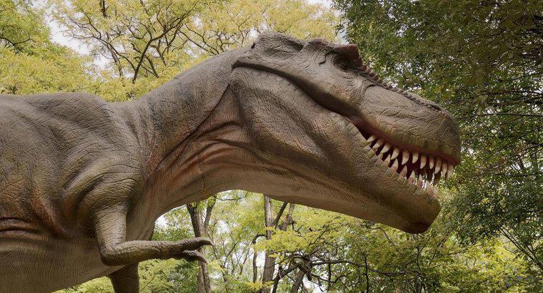Was ist der nächste Verwandte des Tyrannosaurus Rex?