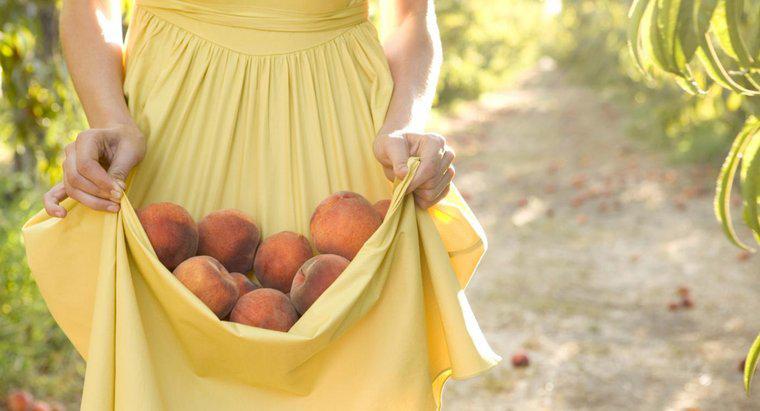 Wie sind Pfirsiche gesund für den Körper?