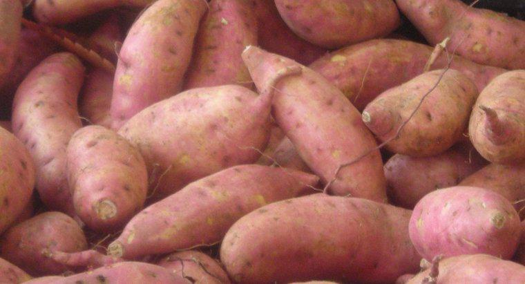 Kann man rohe Süßkartoffeln einfrieren?