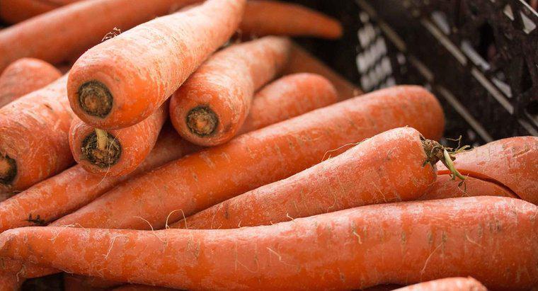 Können frische Karotten eingefroren werden?
