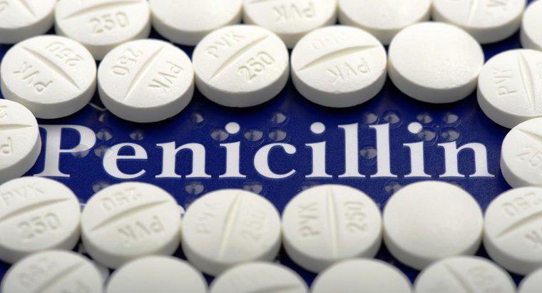 Kann Penicillin bakterielle Vaginose behandeln?