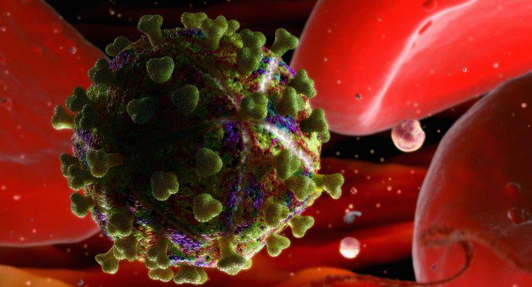 Wie lange kann HIV außerhalb des menschlichen Körpers überleben?