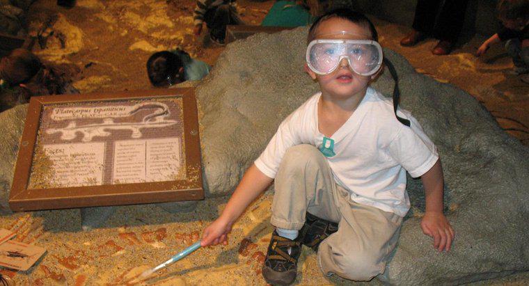 Was macht ein Paläontologe?