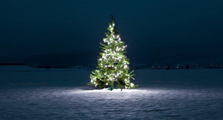 Was symbolisiert der Weihnachtsbaum?