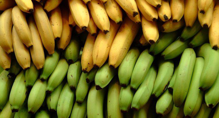 Wie viel Unzen ist eine durchschnittliche Banane?