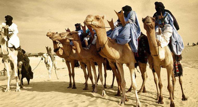 Lebt wirklich jemand in der Sahara?