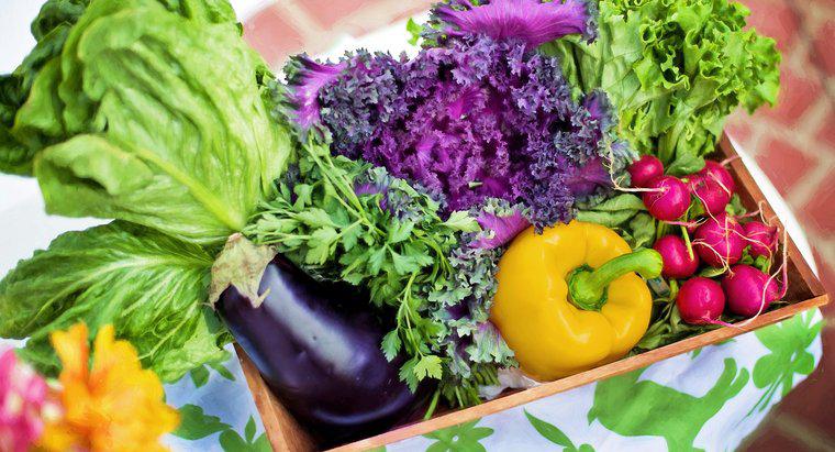 Ernährung und Gesundheit: Eine pflanzenbasierte Ernährung