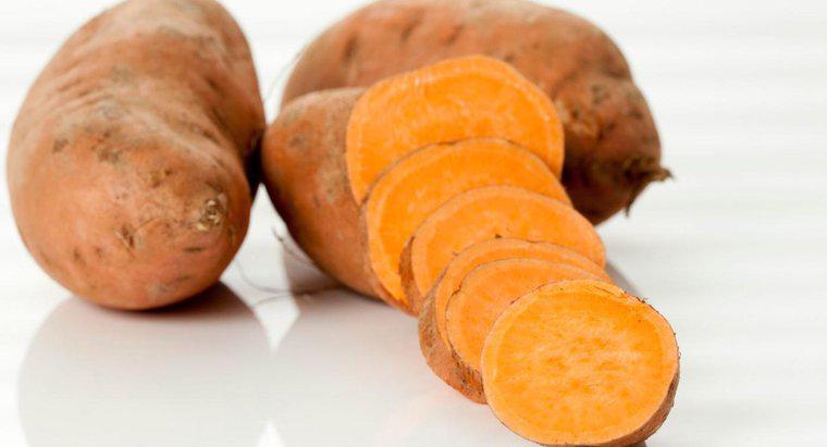 Was ist der Unterschied zwischen einer Süßkartoffel und einer weißen Kartoffel?