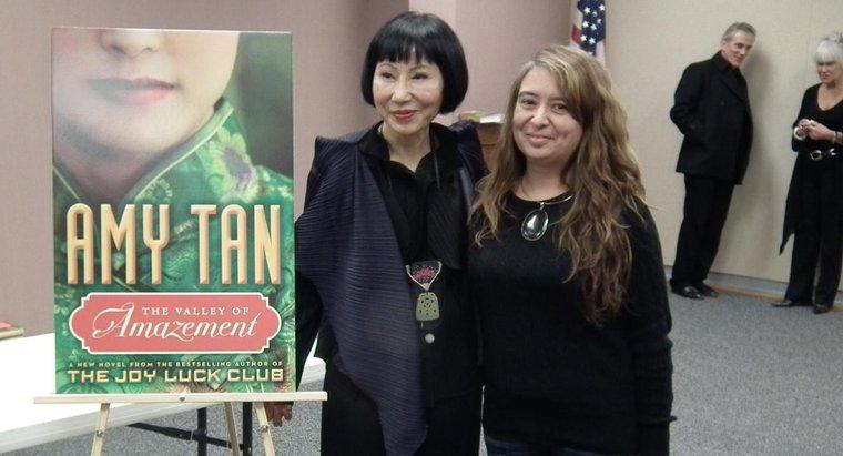 Wie ist der Schreibstil von Amy Tan charakterisiert?