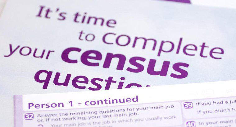 Was ist die Bedeutung einer Volkszählung?