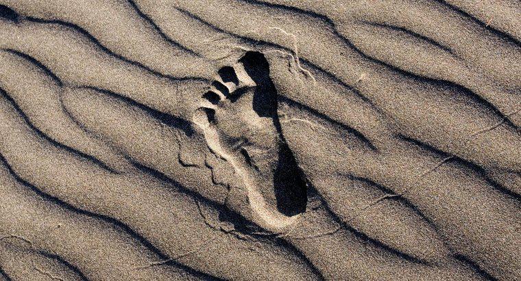 Wo erhalten Sie druckbare Footprint-Muster?