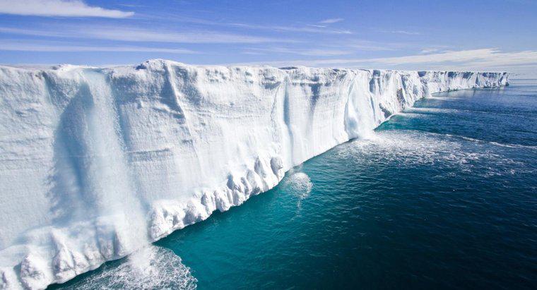 Was ist der durchschnittliche Niederschlag von Polareiskappenbiomen?