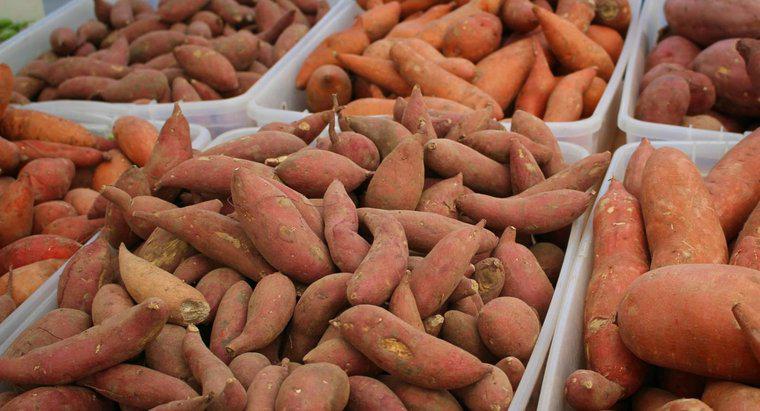 Was sind die Unterschiede zwischen Yams und Süßkartoffeln?