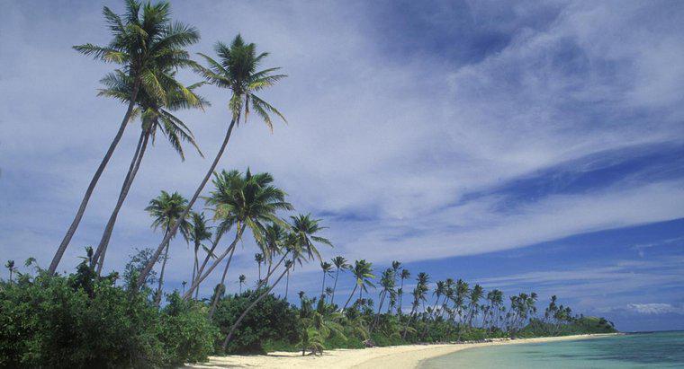 Was sind einige physikalische Merkmale von Fidschi?
