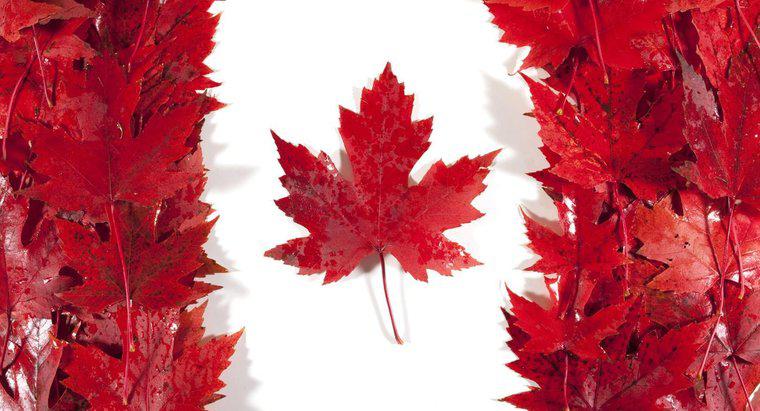 Warum ist das Maple Leaf wichtig für Kanada?