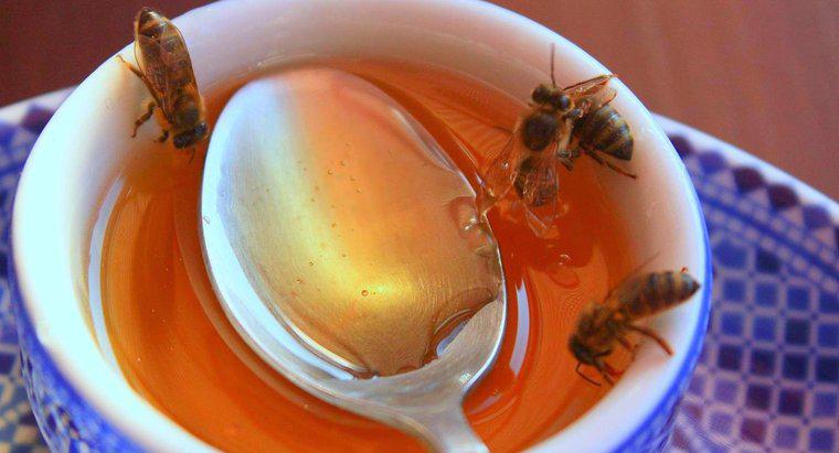 Was ist der beste Honig der Welt?