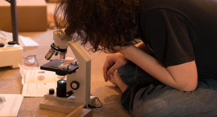 Welche Vor- und Nachteile haben Mikroskope?