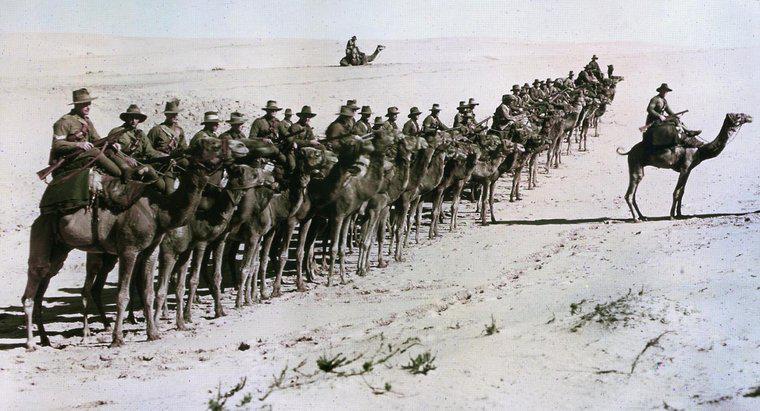 Wie hat der Imperialismus zum Ersten Weltkrieg beigetragen?