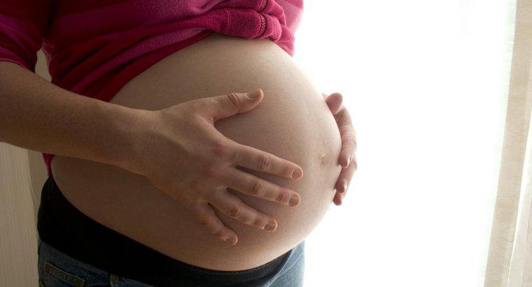 Was ist die längste Schwangerschaft in der Geschichte?