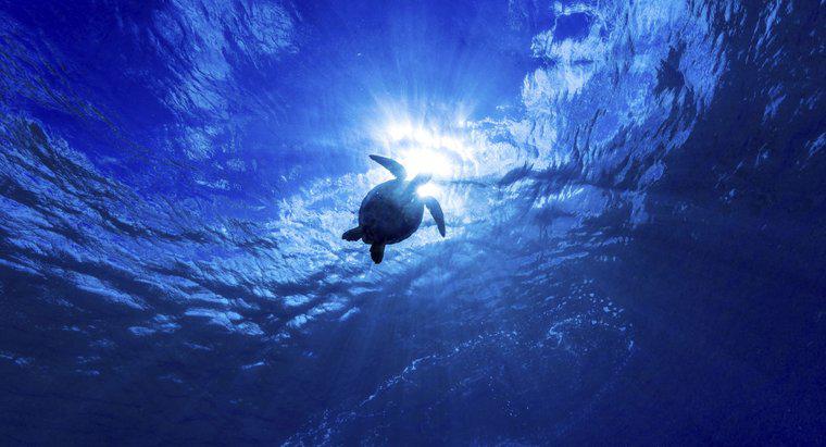 Was ist der tiefste Ozean der Welt?