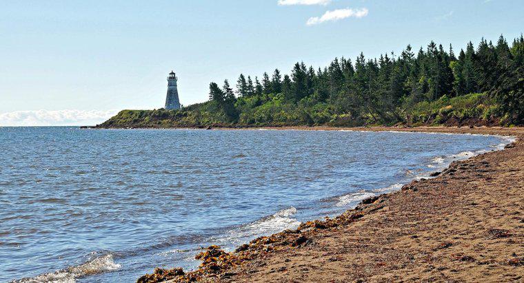 Warum ist New Brunswick der Eidgenossenschaft beigetreten?