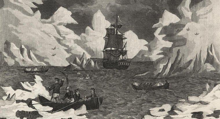 Wer hat die Antarktis zuerst entdeckt?